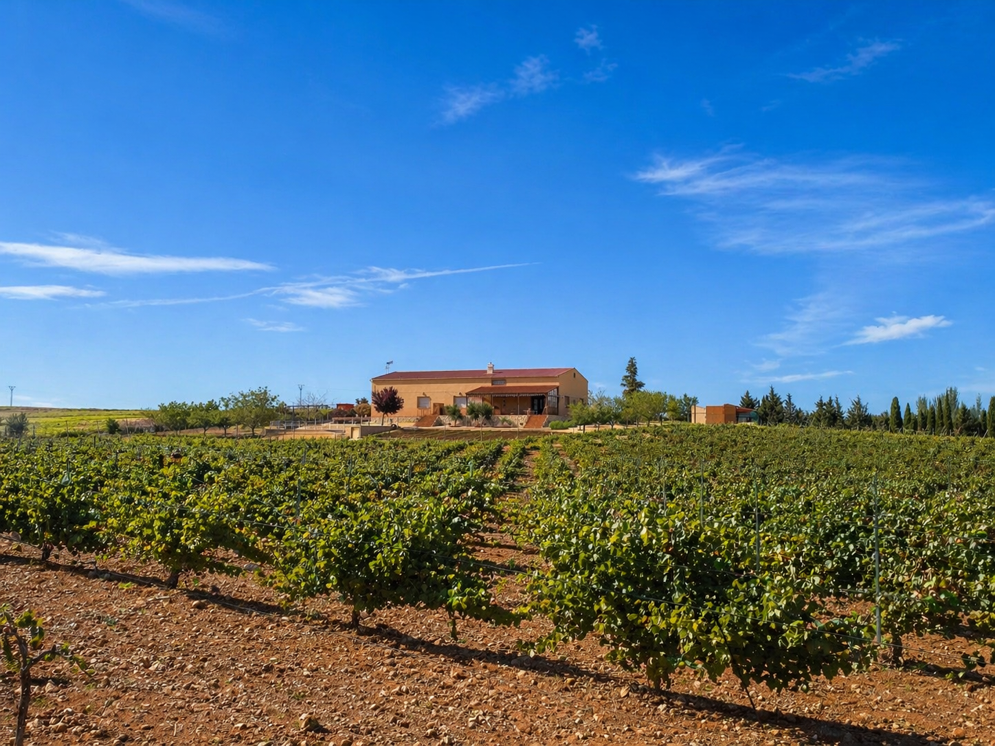 Finca Carramiñana — viñedos y bodega